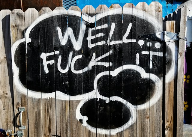 Photo of a painting on a wooden door which says "well fuck it" articulating the reason why the author chose to write this website